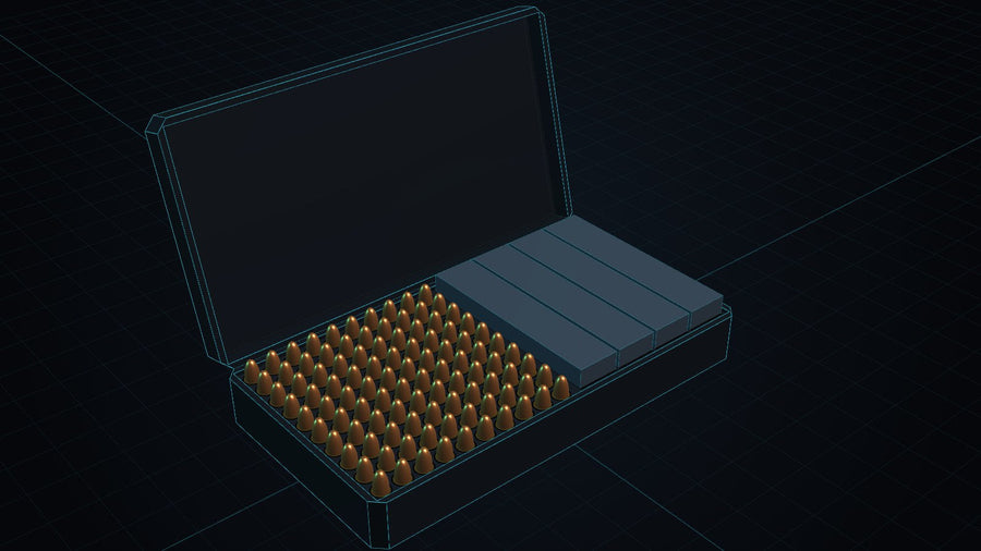 Black hinged case holding 100 rounds of 9mm and four Glock 19 magazines